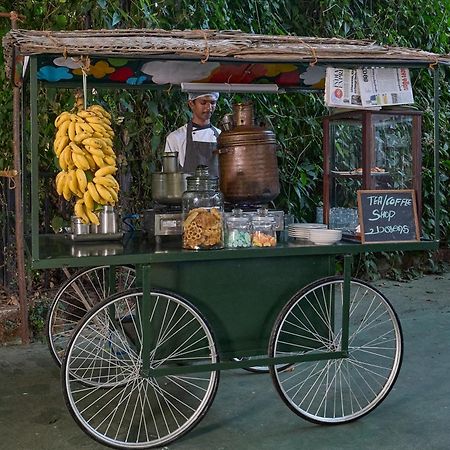 Cardamom County By Xandari Hotel Thekkady Eksteriør billede