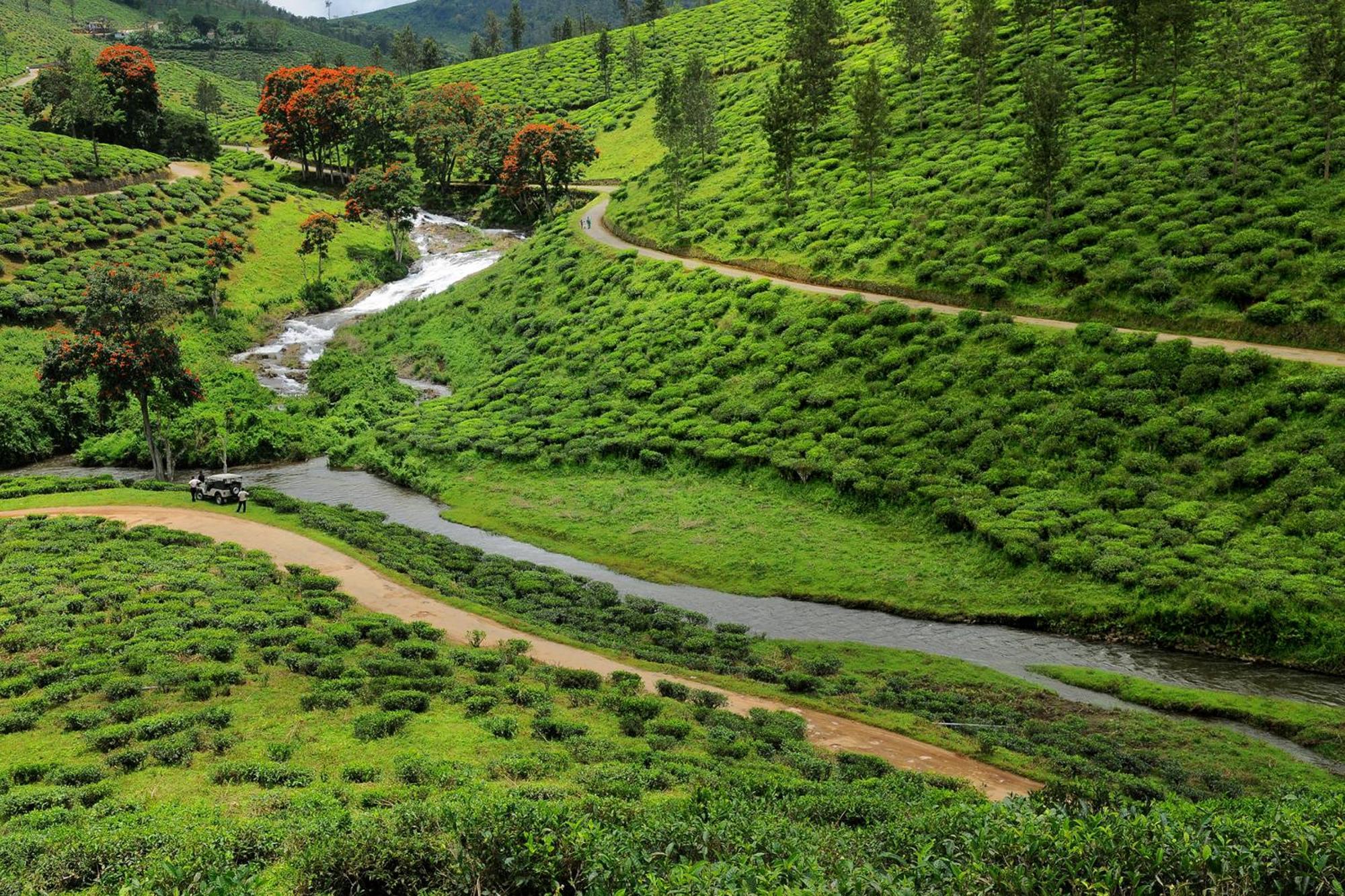 Cardamom County By Xandari Hotel Thekkady Eksteriør billede