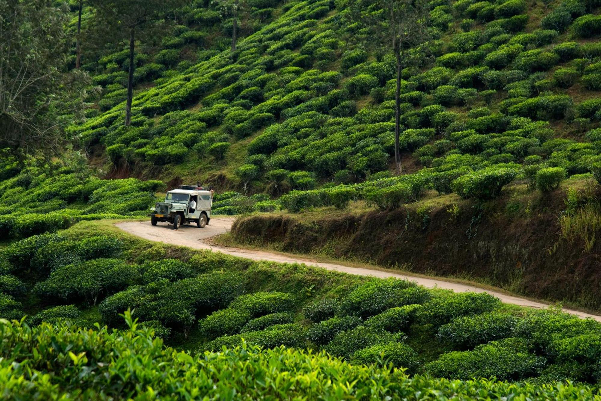 Cardamom County By Xandari Hotel Thekkady Eksteriør billede