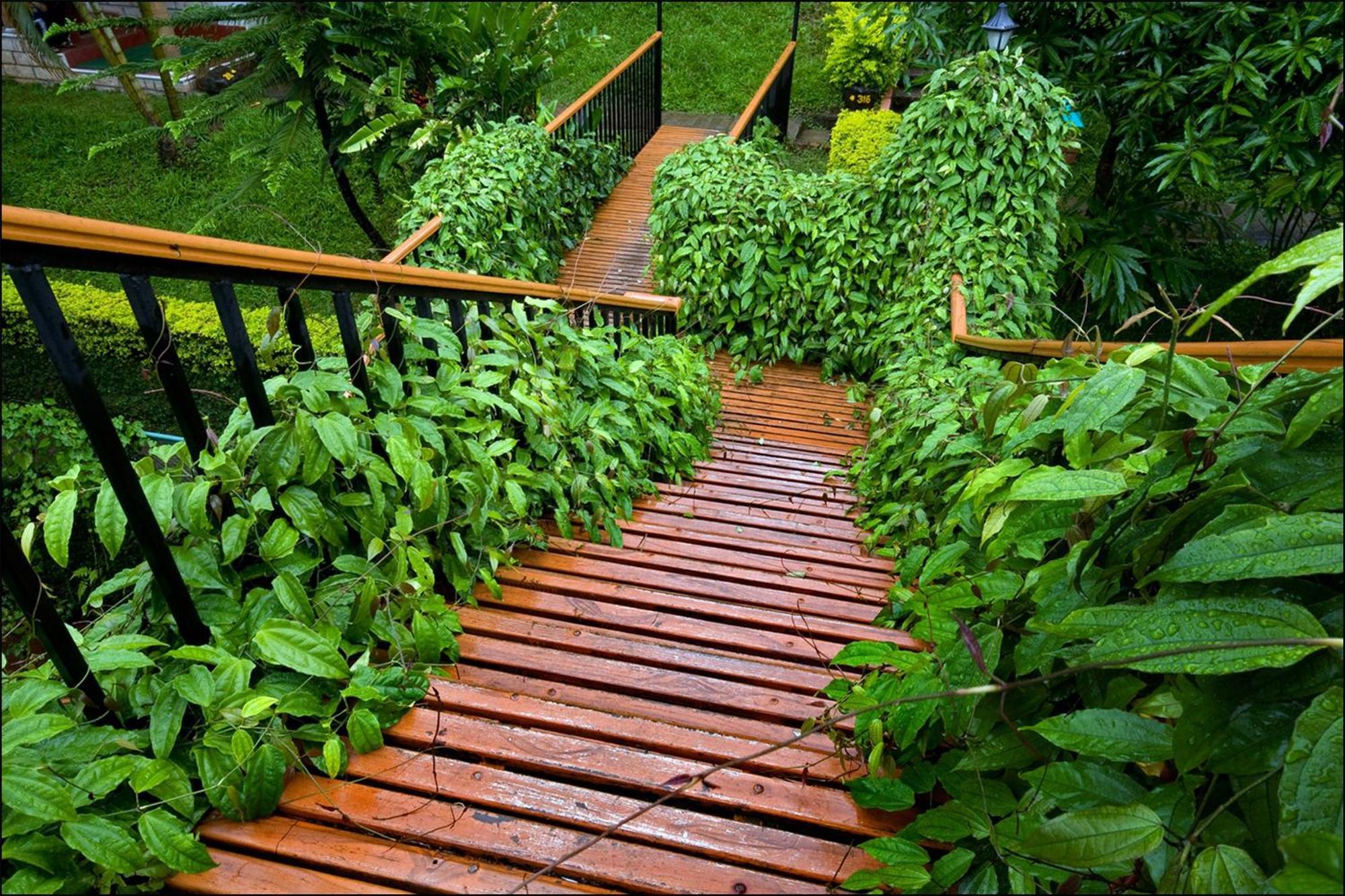 Cardamom County By Xandari Hotel Thekkady Eksteriør billede