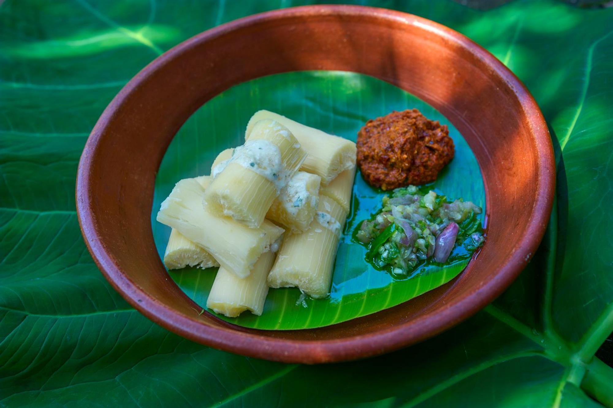 Cardamom County By Xandari Hotel Thekkady Eksteriør billede