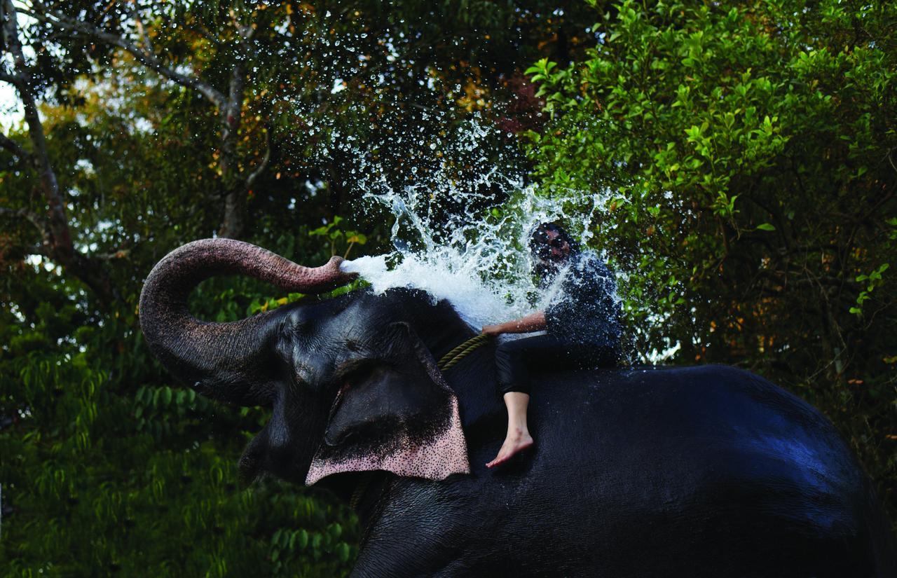 Cardamom County By Xandari Hotel Thekkady Eksteriør billede